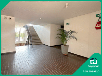 ¡ 𝗔𝗣𝗔𝗥𝗧𝗔𝗠𝗘𝗡𝗧𝗢 𝗘𝗡 𝗩𝗘𝗡𝗧𝗔 EN CONJUNTO FLOR AMARILLO !